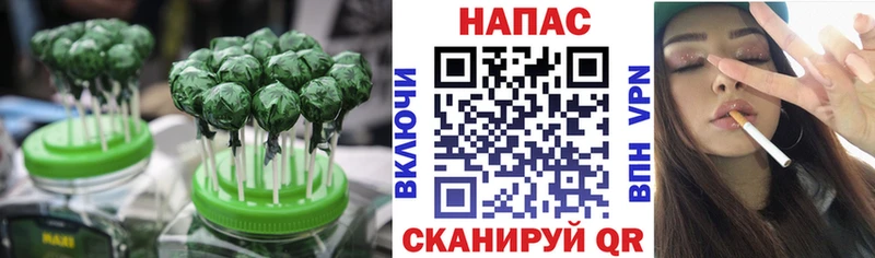 Cannafood конопля Гай