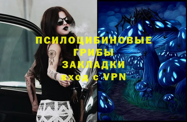 ГАЛЛЮЦИНОГЕННЫЕ ГРИБЫ Богданович