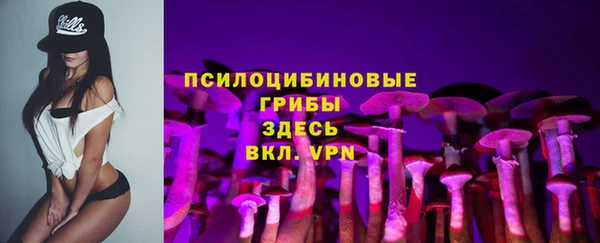 первитин Белокуриха
