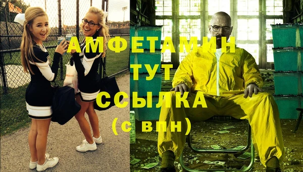 ГАЛЛЮЦИНОГЕННЫЕ ГРИБЫ Богданович