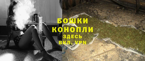 стаф Богородицк