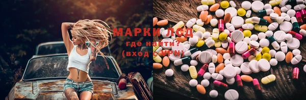 ГАЛЛЮЦИНОГЕННЫЕ ГРИБЫ Богданович