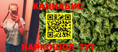 a pvp Гатчина