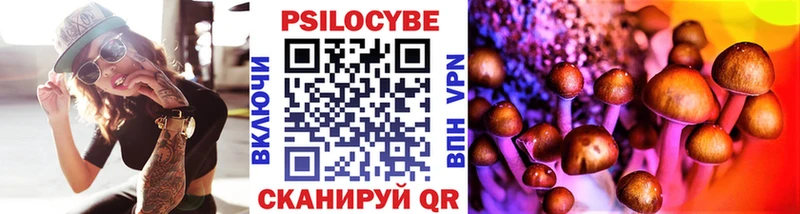 закладка  Гай  Псилоцибиновые грибы Psilocybine cubensis 