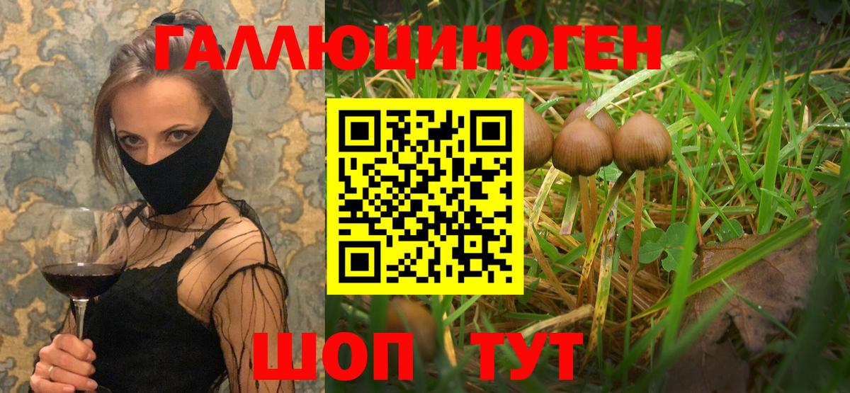 Гай  Псилоцибиновые грибы ЛСД  Вход с VPN 