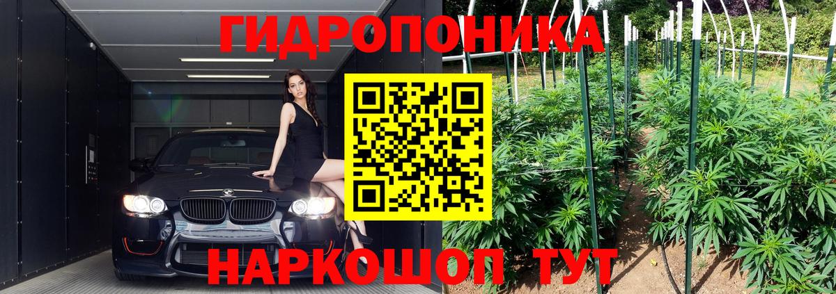 Конопля White Widow  Конопля SATIVA & INDICA  Вход с VPN  Гай  Каннабис конопля 